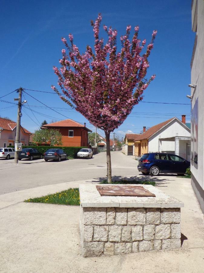 Apartman Bedem Nikšić 외부 사진